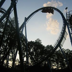 Griffon's 2nd Immelman Sunset