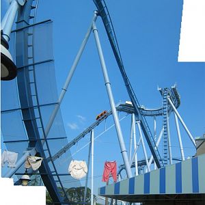 Griffon's 1st Immelman