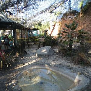Oct. 2020 - Asian Gardens - Komodo Dragon Exhibit