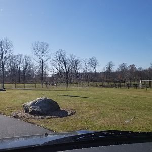 Keystone Safari - Lights inside gate