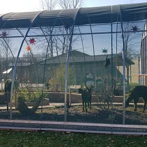 Keystone Safari - Butterfly garden