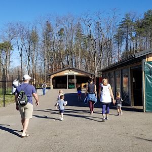 Keystone Safari - Path to entrance of zip line