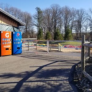 Keystone Safari - Go-karts