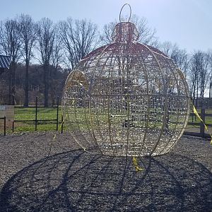 Keystone Safari - Christmas decorations