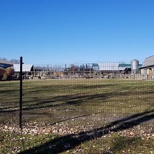 Keystone Safari - Llama yard