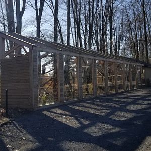 Keystone Safari - King Vulture, Toucan exhibit