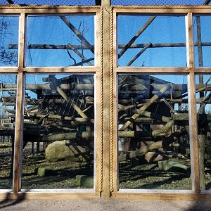 Keystone Safari - Mandrills front