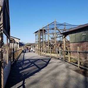 Keystone Safari - Pathway