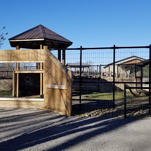 Keystone Safari - Emu