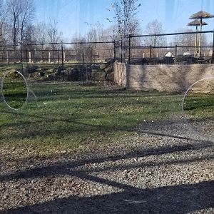 Keystone Safari - Holes in emu glass for feeding