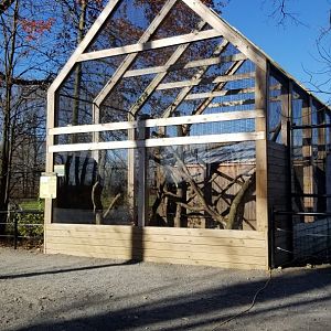 Keystone Safari - Southern ground hornbill exhibit