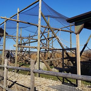 Keystone Safari - Colobus exhibit