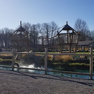 Keystone Safari - Black swan, empty primate island