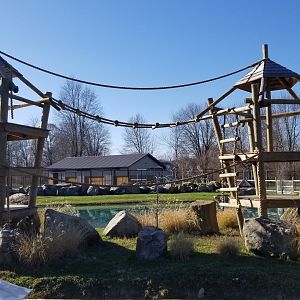 Keystone Safari - Empty primate island