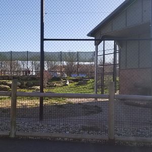 Keystone Safari - Lion exhibit, right