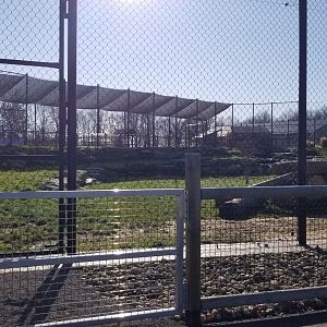 Keystone Safari - Lion exhibit