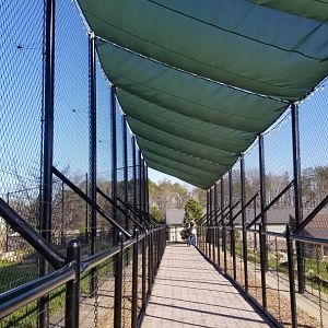 Keystone Safari - Path between top of lions and black bears