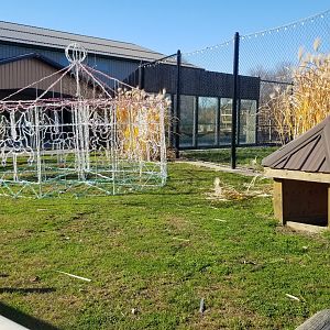 Keystone Safari - Unused exhibit