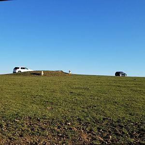 Keystone Safari - Yak