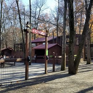 Living Treasures Moraine - Goat petting area
