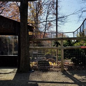 Living Treasures Moraine - Right end of tiger exhibit