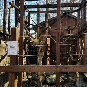 Living Treasures Moraine - Squirrel monkeys