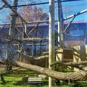 Living Treasures Moraine - Lar gibbons