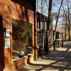 Living Treasures Moraine - Path, white-faced capuchins on left