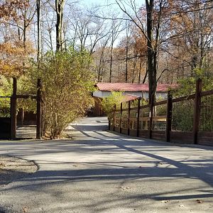 Living Treasures Moraine - Path