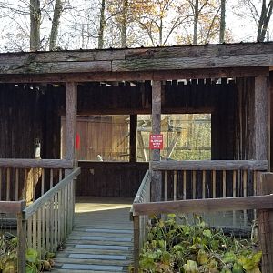 Living Treasures Moraine - Leopard exhibit