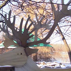 Minnesota zoo-Reindeer statue-Nov 13