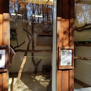 Living Treasures Moraine - Cotton-top tamarins