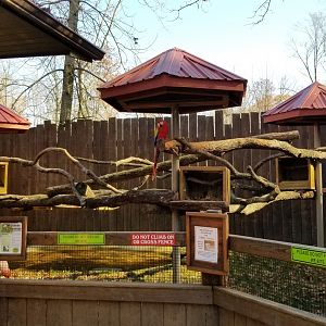 Living Treasures Moraine - Macaw, lone flamingo area