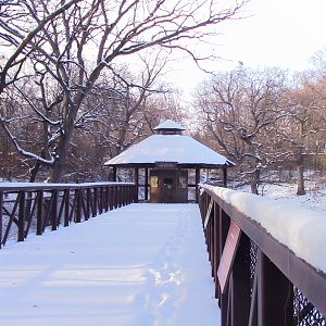 Tiger Outpost (closed) Minnesota zoo-Nov 13