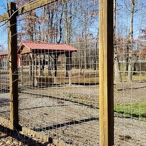 Living Treasures Moraine - Zebra and bongo yard