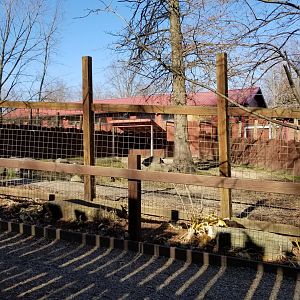 Living Treasures Moraine - Brazilian tapir yard