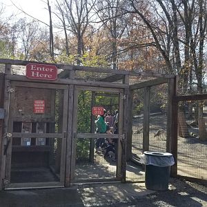 Living Treasures Moraine - Kangaroo walkabout