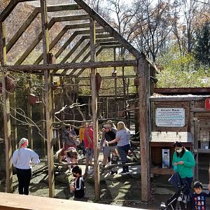 Living Treasures Moraine - Lorikeet aviary