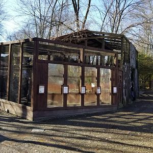 Living Treasures Moraine - Indian peafowl exhibit