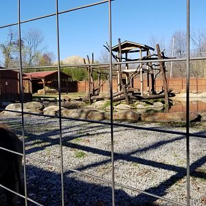 Living Treasures Moraine - Bovid yard
