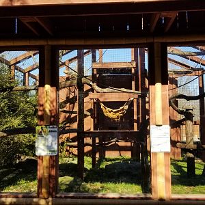 Living Treasures Moraine - Lar gibbons, second exhibit