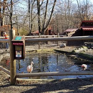 Living Treasures Moraine - Flamingos