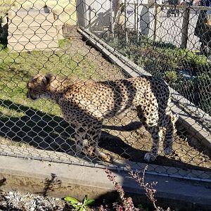 Columbus Zoo - Dave and Adrienne