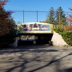 Columbus Zoo - Tunnel under road