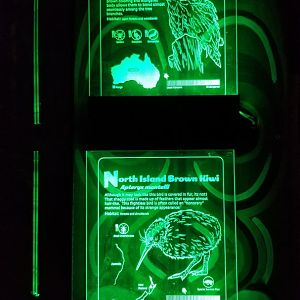 Columbus Zoo - Example of signs in Australia nocturnal building