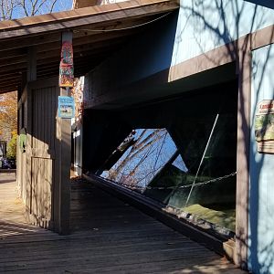 Columbus Zoo - Komodo viewing