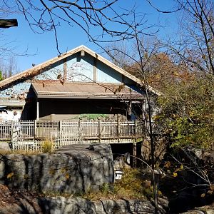 Columbus Zoo - Komodo viewing from across the outdoor area