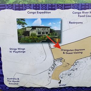 Columbus Zoo - Sign about future orangutan building