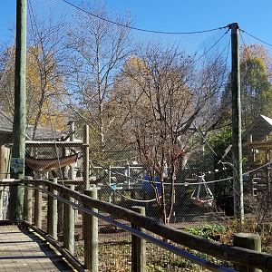 Columbus Zoo - Colobus exhibit