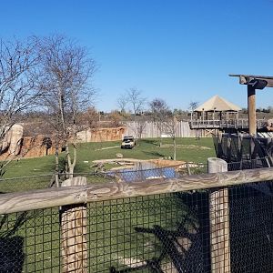 Columbus Zoo - Watering hole, closed off for the season (this is the only viewing spot)